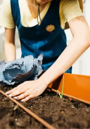 Mesas de cultivo